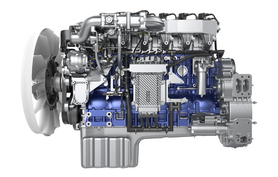 必赢亚洲·bwin(中国区)官方网站